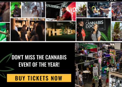 Cannabis Expo