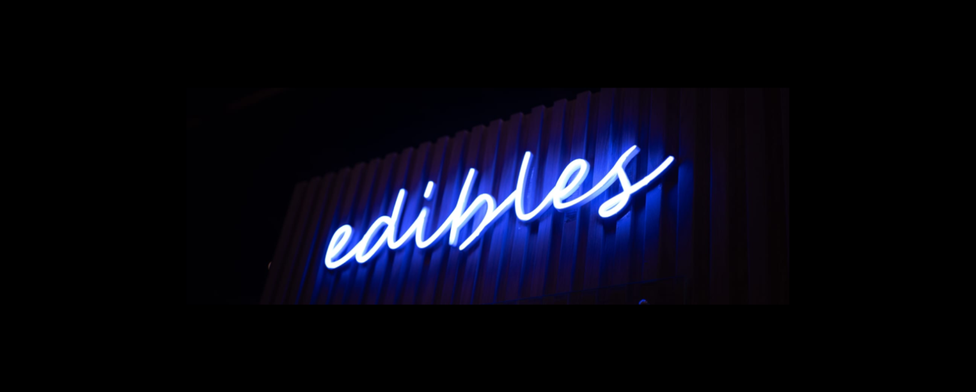 The Cannabis Expo 2025