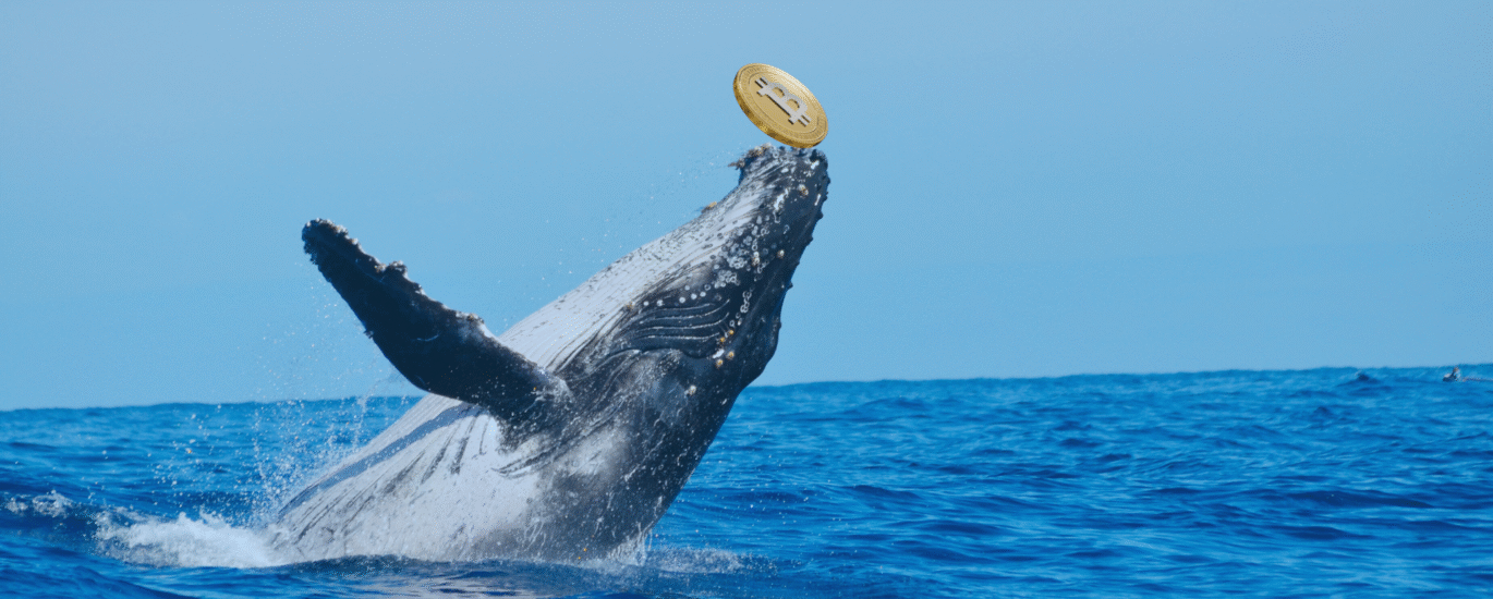 Big Whale in crypto